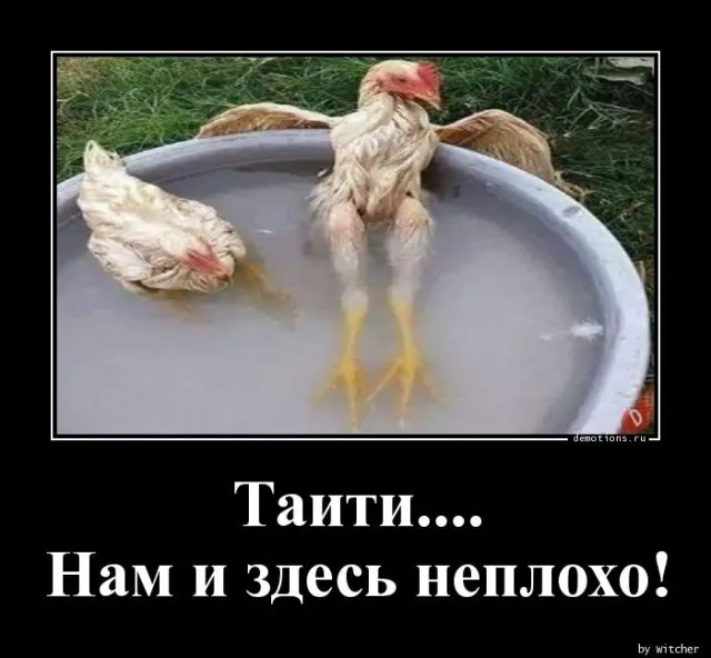 98291694166603-demki-1.jpg.webp