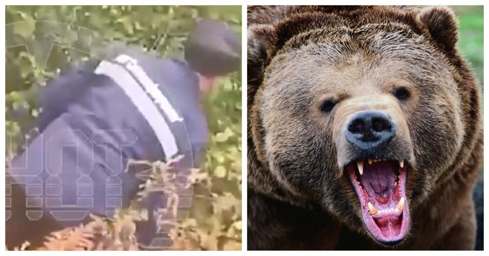 В Башкирии медведя прогнали русским матом и отчаянной смелостью