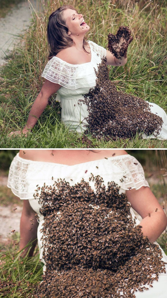 39. Беременная женщина и 20000 пчел