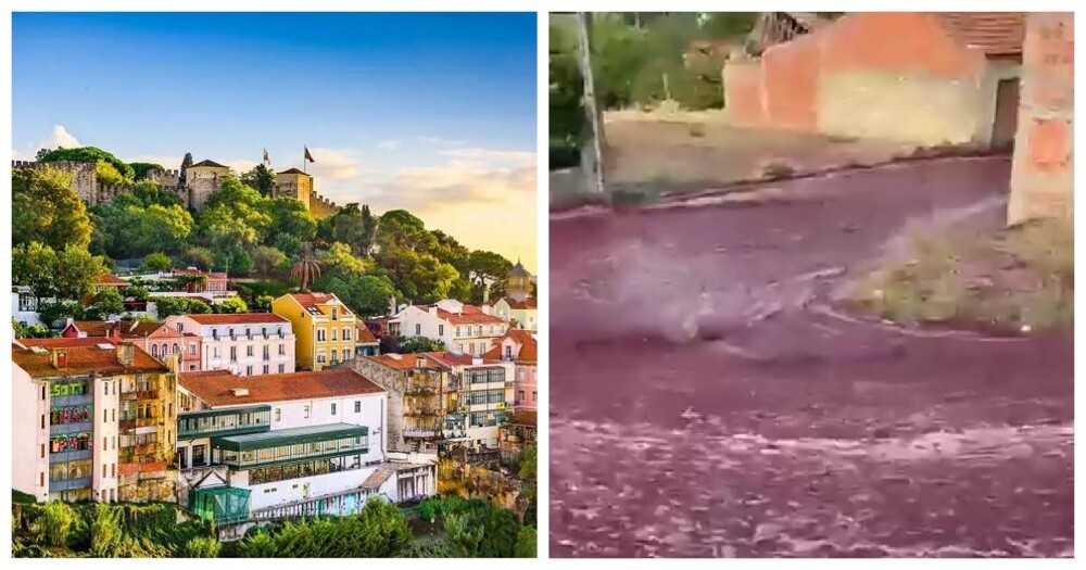 Река из вина в Португалии попала на видео