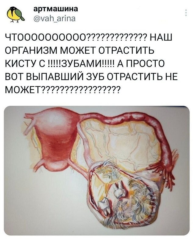 Скрины из соцсетей 