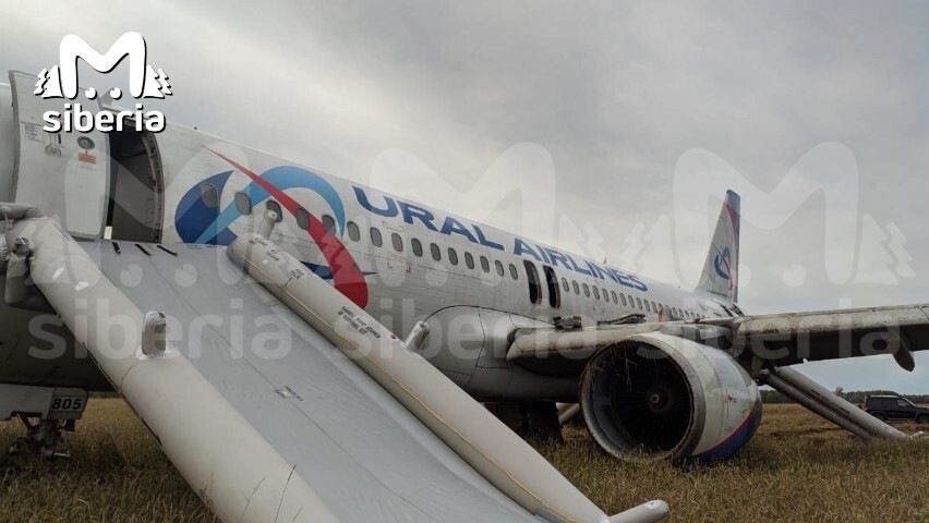 Пассажирский самолёт Сочи-Омск экстренно сел на грунт неподалёку от Новосибирска