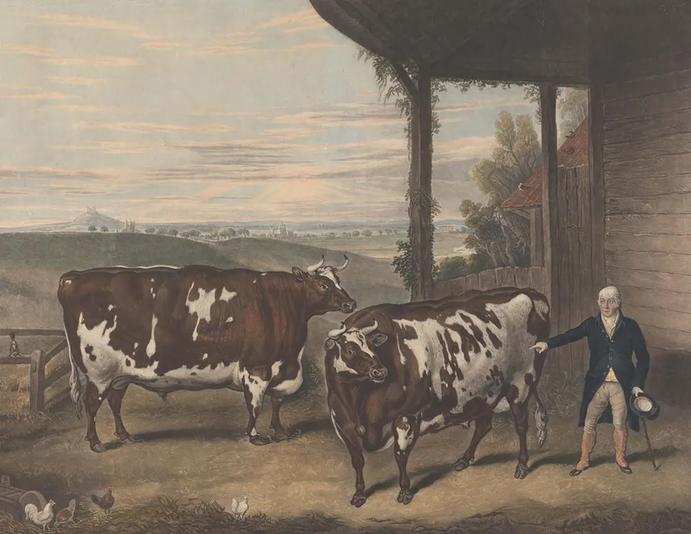 Прямоугольные коровы: геометрический домашний скот на британских картинах XIX века