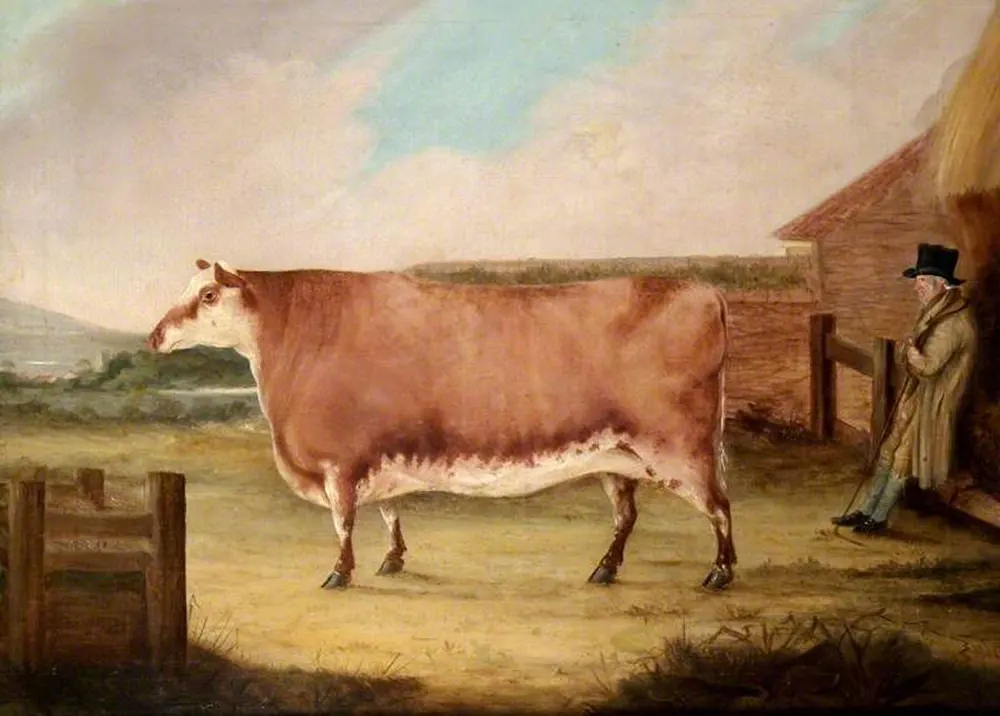 Прямоугольные коровы: геометрический домашний скот на британских картинах XIX века