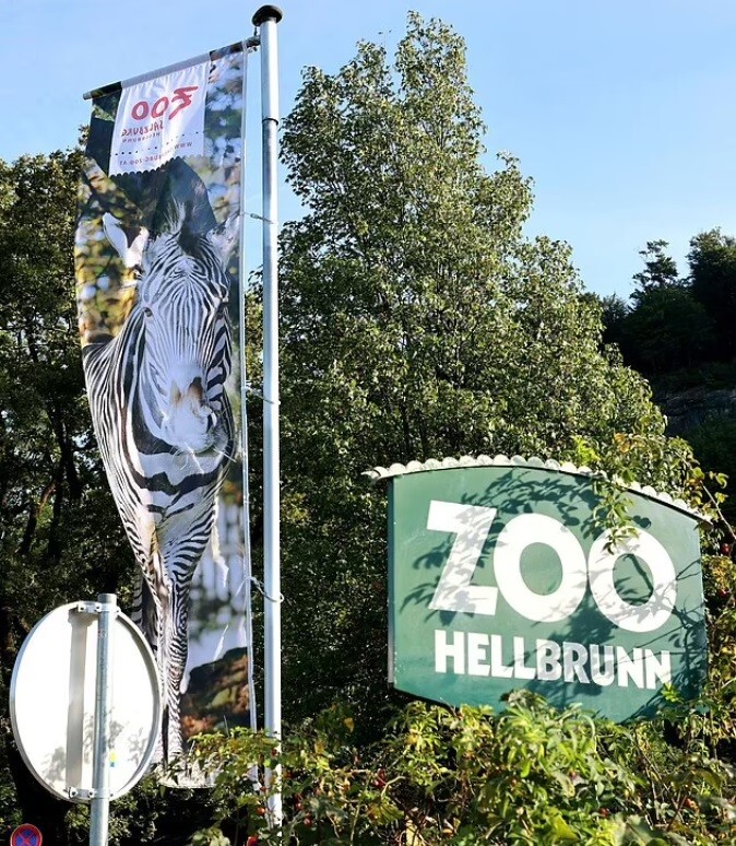 В Австрии носорог убил сотрудницу зоопарка и тяжело ранил ее мужа