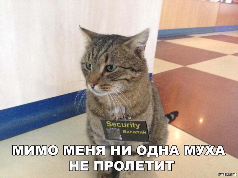 Солянка от 13.09.2023