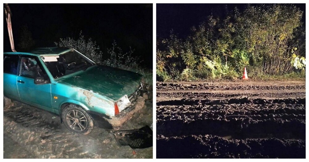 В Омской области женщина с тремя детьми погибли из-за того, что их машина съехала с дороги в наполненный водой кювет