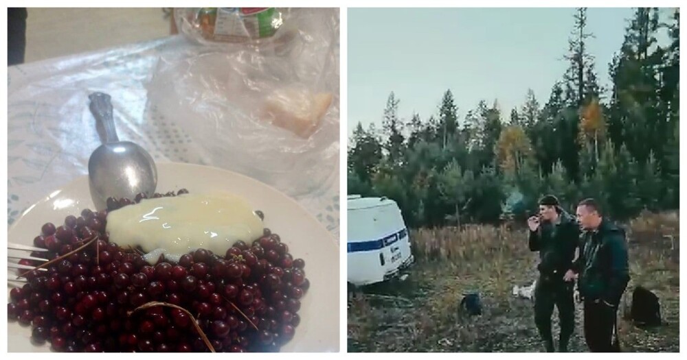 Мужики заблудились в красноярских лесах и неделю питались одними ягодами