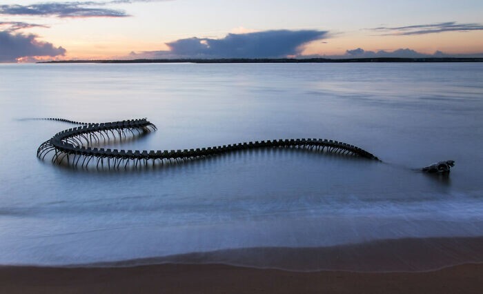 10. Морской змей на воде, Франция. Это - скульптура Serpent D'ocean художника Хуан Юн Пина