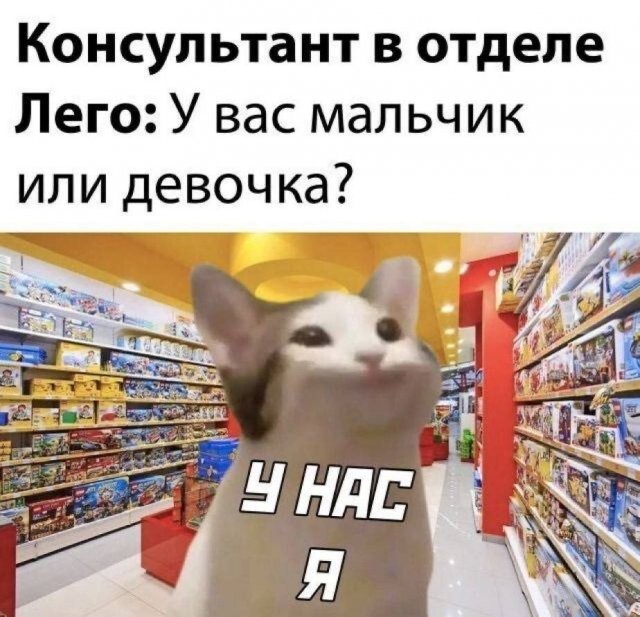 Не ищите здесь смысл. Здесь в основном маразм