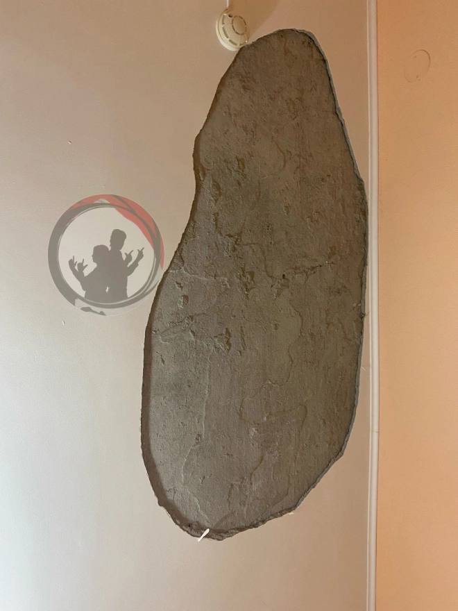 В общежитии СПбГУ на голову студентки рухнул потолок
