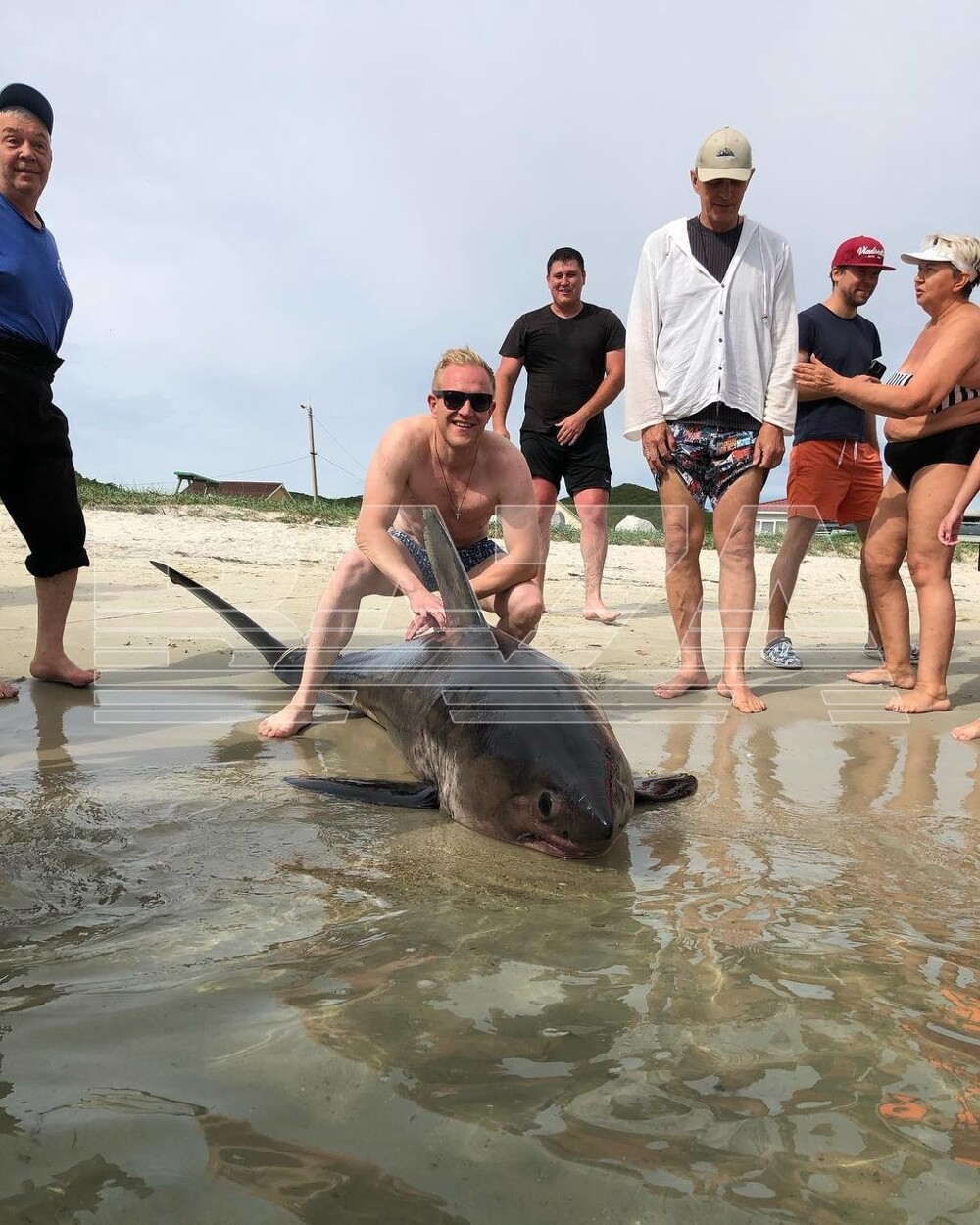 Жители Приморья поймали акулу рядом с туристической базой