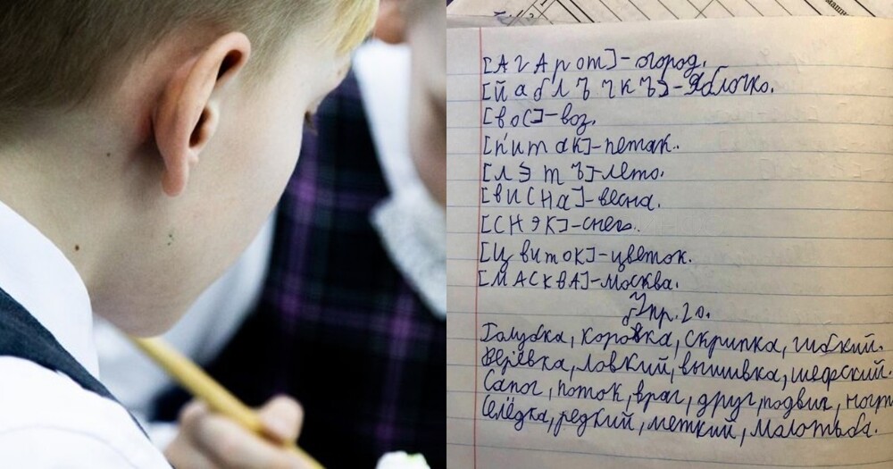 "Пишите, как я сказала!": в подмосковной школе учительницу ложно обвинили в безграмотности из-за национальности