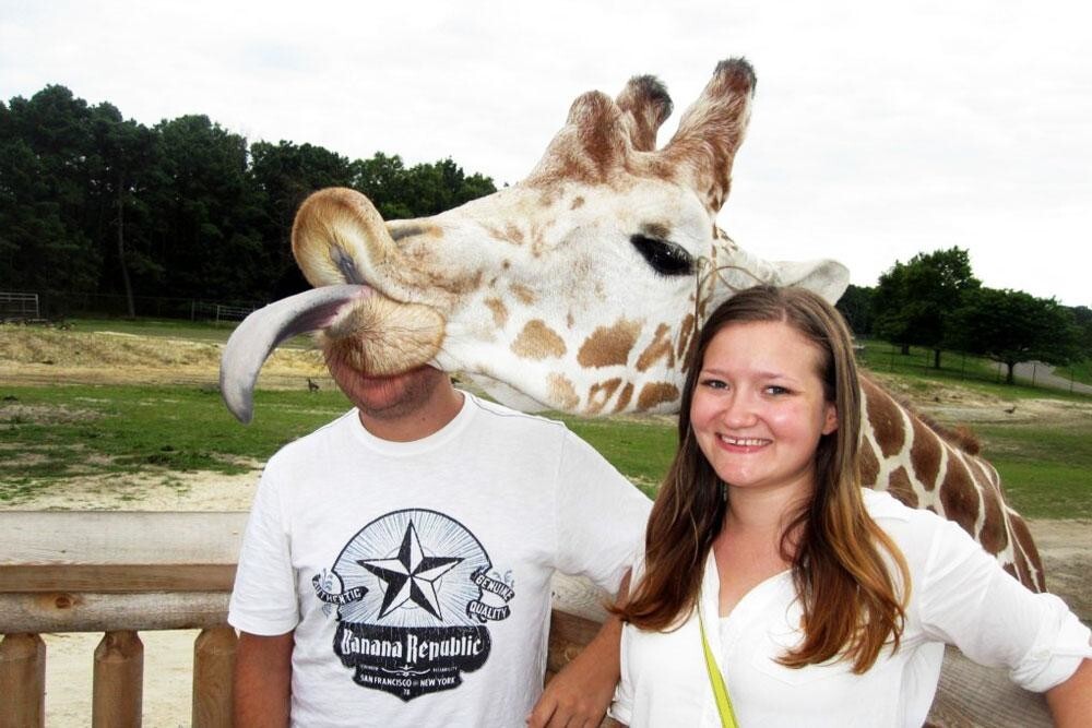 7. Видно, что жираф против фотографии