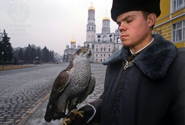 Солдат держит на руке ястреба, сотрудника спецслужб, обученного для устранения ворон на Красной площади, 1992 год
