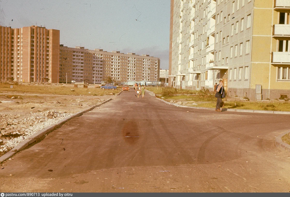 Северные окраины Ленинграда тогда были такими. На фото - дворы между проспектом Луначарского и улицей Асафьева.