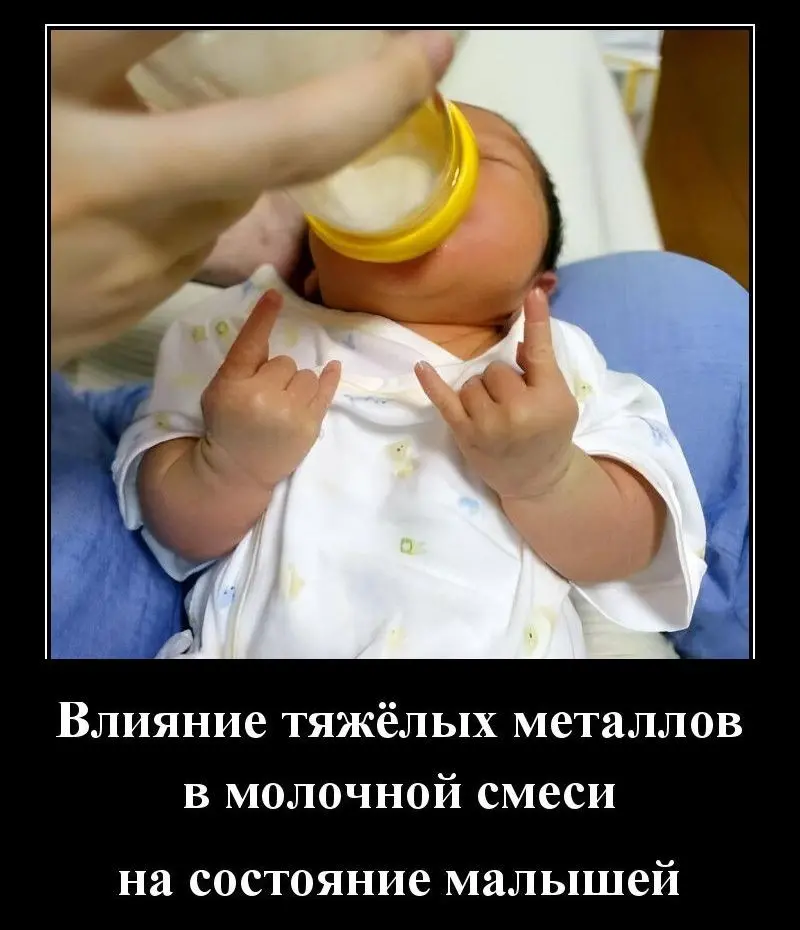 1.jpg.webp