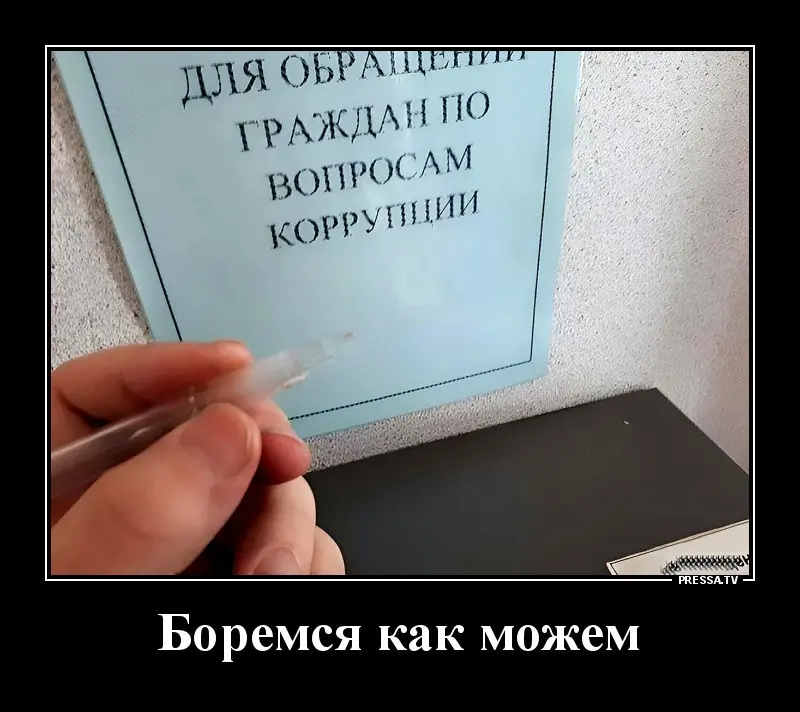 1687874037-d1.jpg.webp