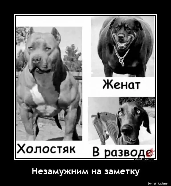1694606229-nezamuzhnim-na-zamet-demotion
