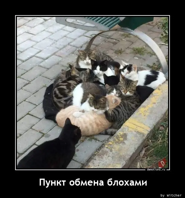 2.jpg.webp