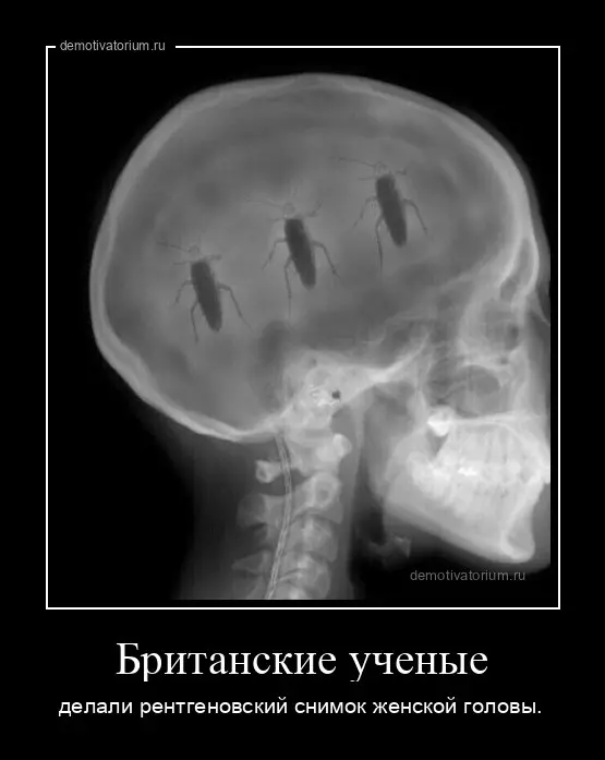 demotivatorium-ru-britanskie-uchenie-221
