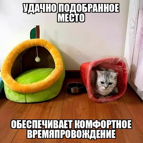 demotivatorium-ru-udachno-podobrannoe-me