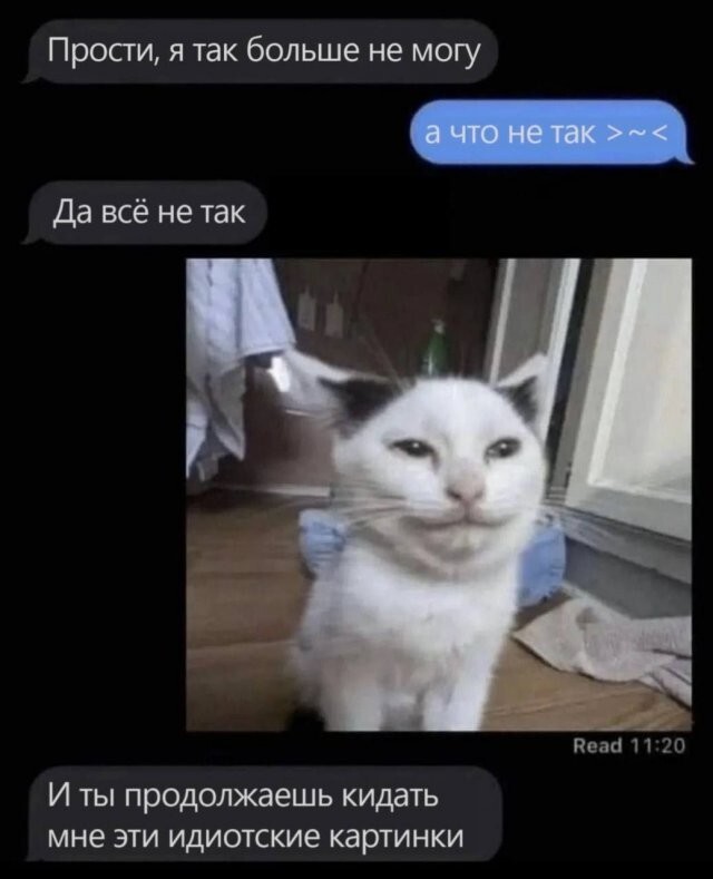 Скрины из соцсетей 