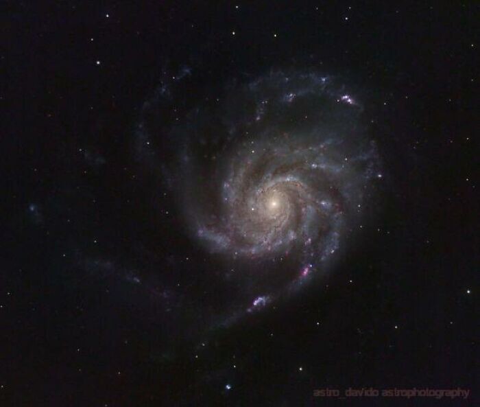 8. Спиральная галактика M101 (Вертушка)