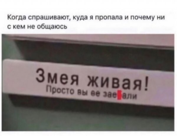 Всё вразнобой 