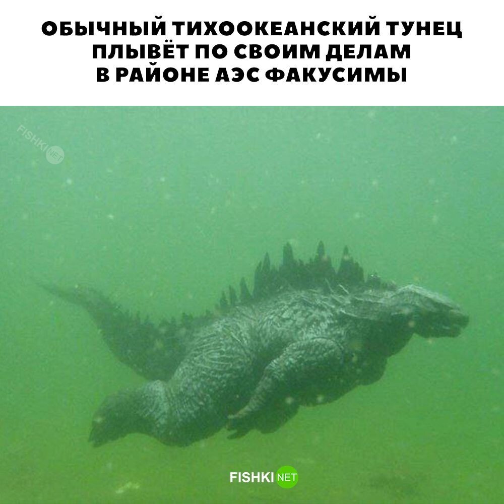 Ничего необычного