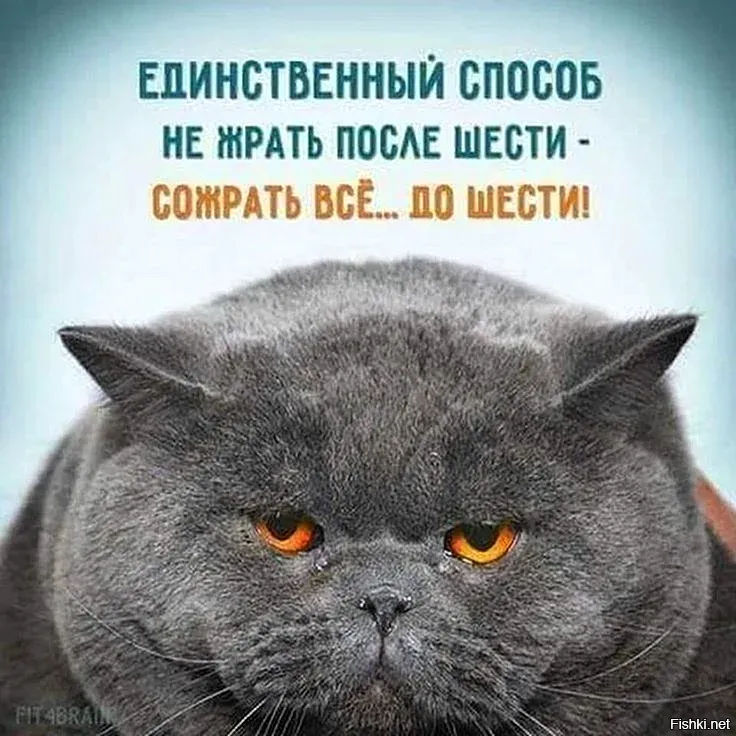 Солянка от 18.09.2023