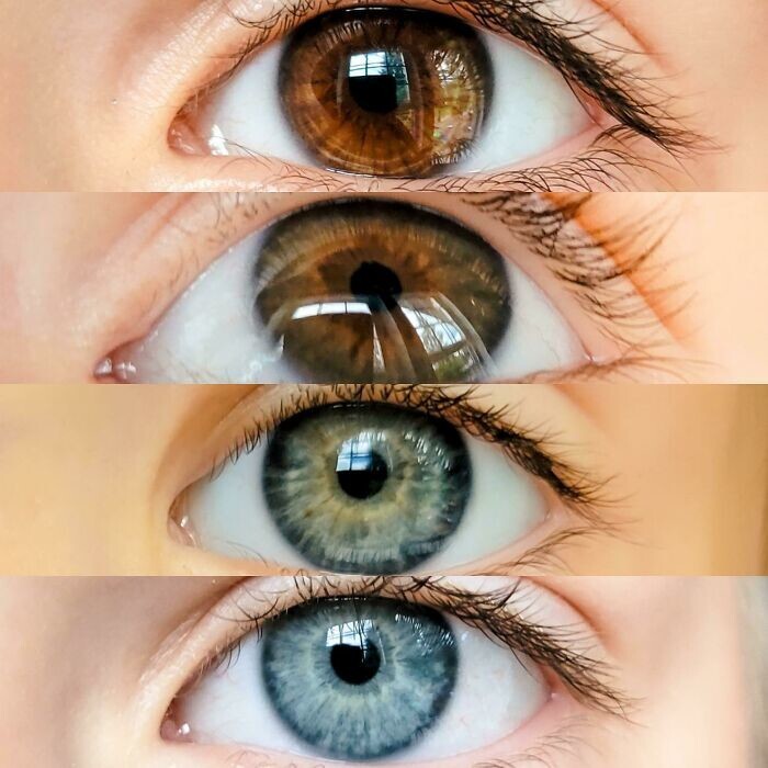 4. "У моего мужа карие глаза, у меня - голубые. Вот глаза наших четверых детей"