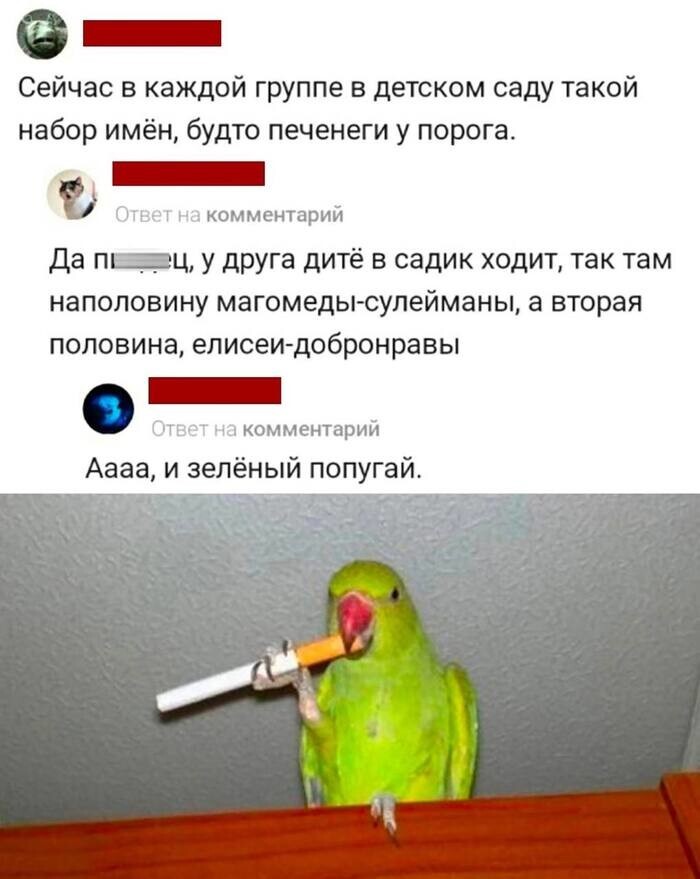 Всё вразнобой 