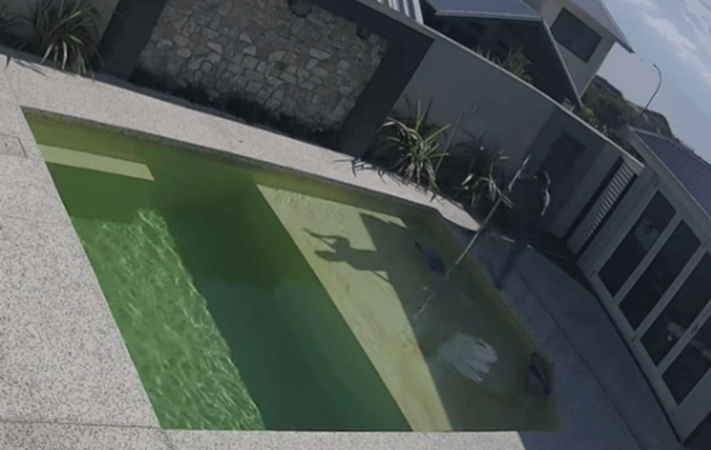 Неудачная попытка австралийца почистить бассейн