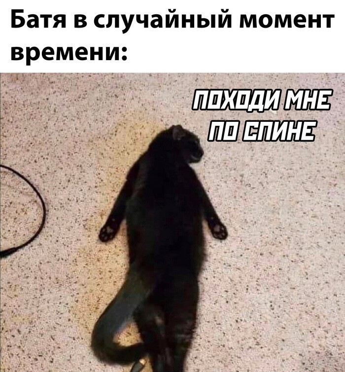 Скрины из соцсетей 