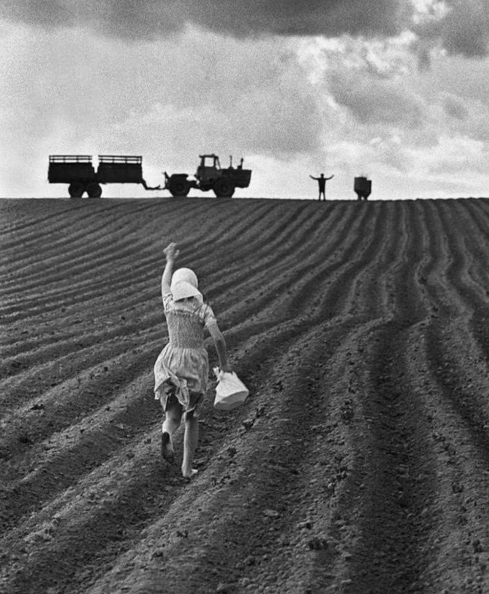 10. Девочка несет перекус своему отцу, который усердно работает на поле, 1975 год