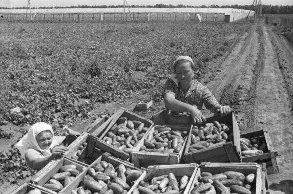 Интересные фотографии времен СССР