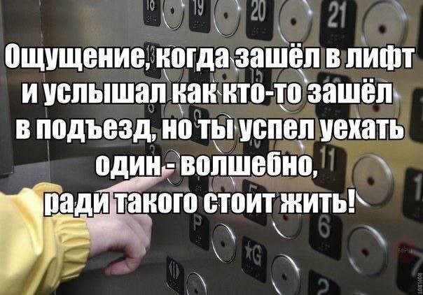 Не ищите здесь смысл. Здесь в основном маразм от АРОН за 25 сентября 2023