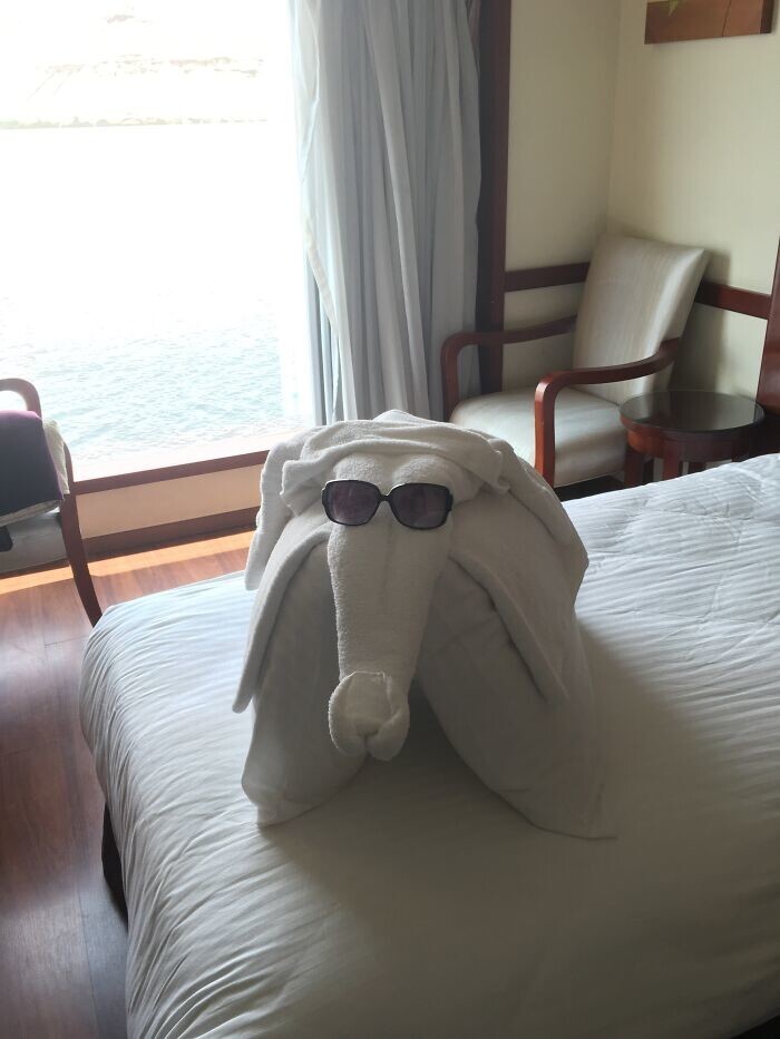 3. «Горничная в отеле явно нашла мои солнцезащитные очки»