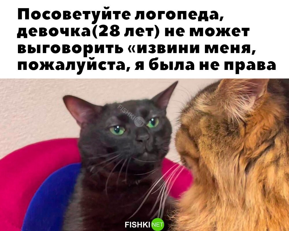 Такому уже не научить 