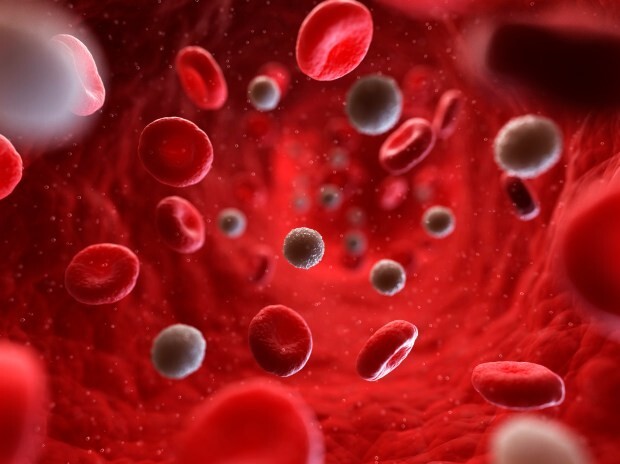 2. Ваша группа крови может измениться, если вам сделают пересадку костного мозга