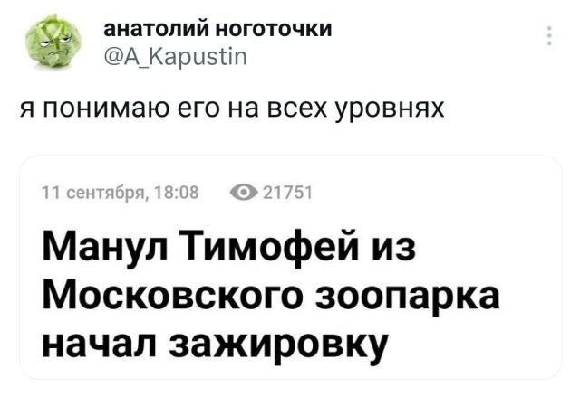 Не ищите здесь смысл. Здесь в основном маразм от АРОН за 26 сентября 2023