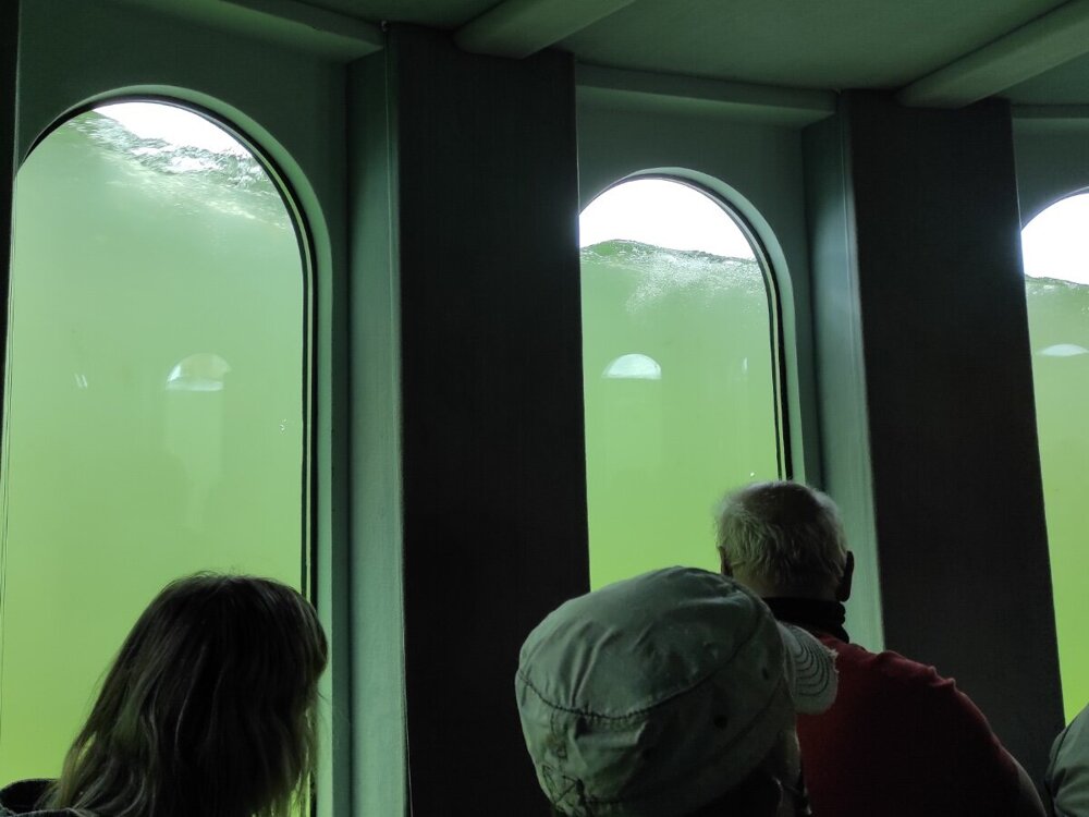Подводный лифт с окнами, в которых ничего не видно – зато показывают кино