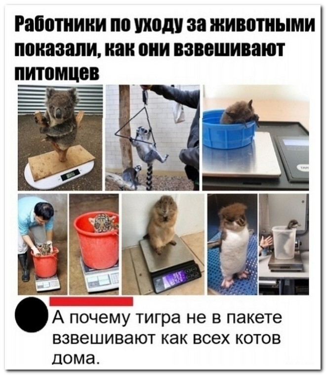 Скрины из соцсетей 