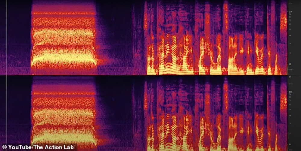 Спектрограмма звуковых волн свистка смерти, издающего звук, похожий на визг зомби