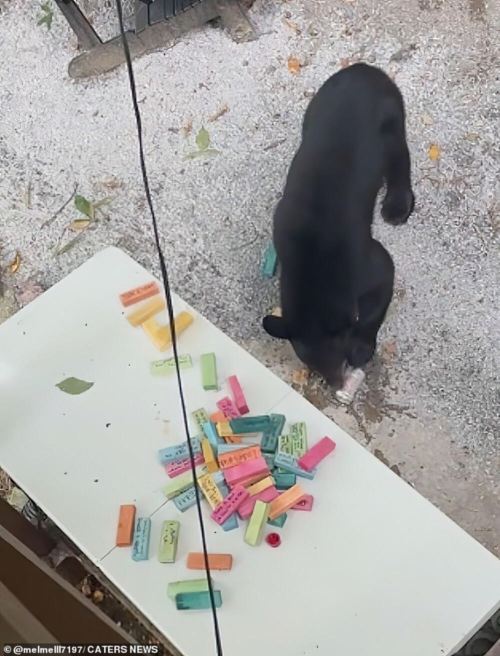 Пикник плюшевых мишек: медведи пришли в гости на барбекю