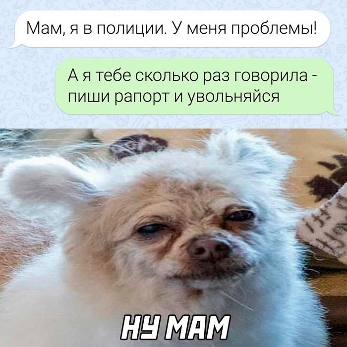 Не ищите здесь смысл. Здесь в основном маразм