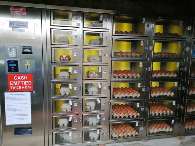 9. В небольших городках есть автоматы по продаже яиц