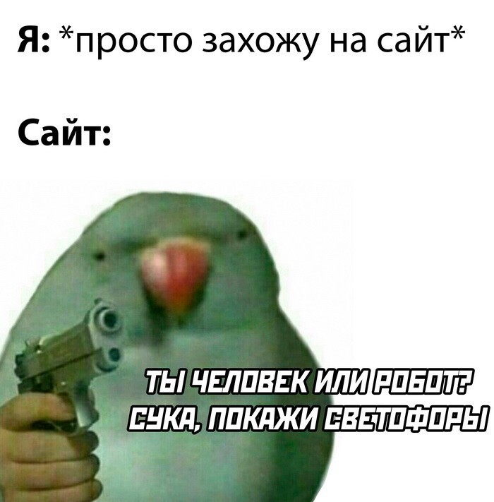 Скрины из соцсетей 