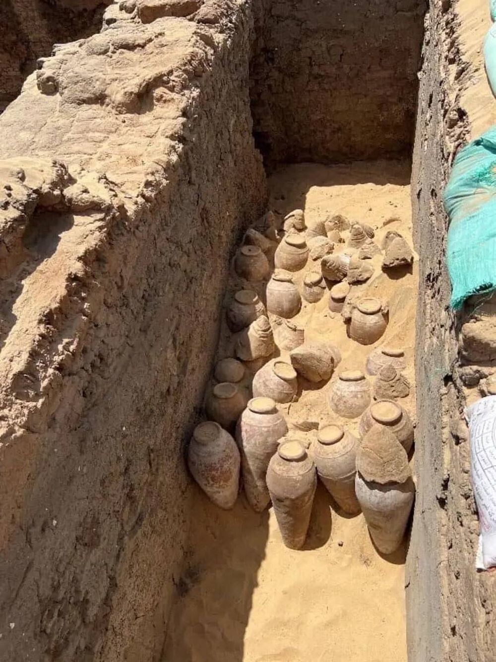 В Египте обнаружили кувшины с вином возрастом более 5 тысяч лет